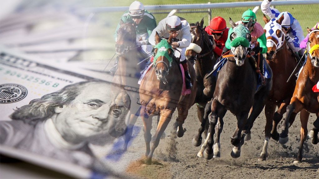 Santa Casa já gastou mais de oito milhões euros em jogo de apostas de  corridas de cavalo