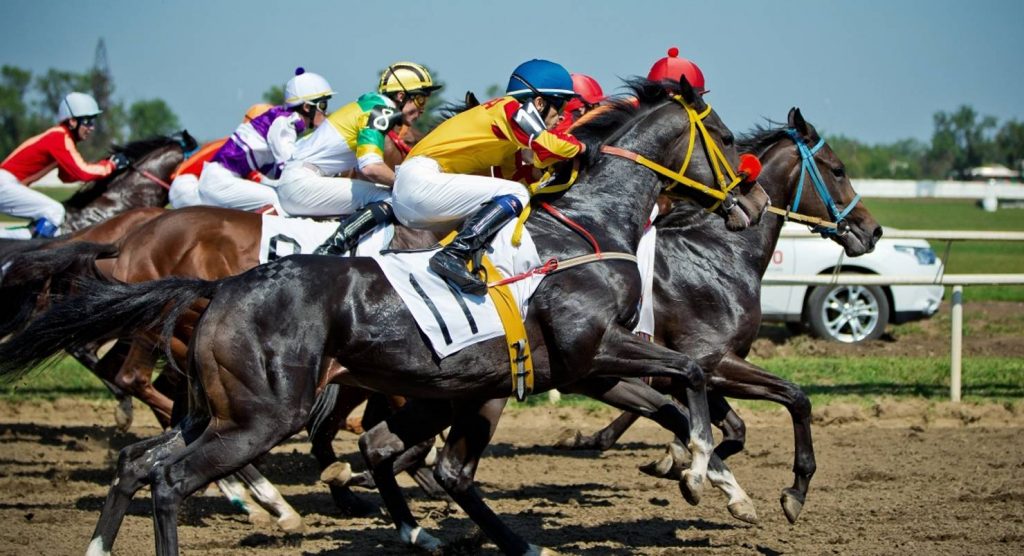 Bettors who have won at the races